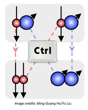 Rotational State parity