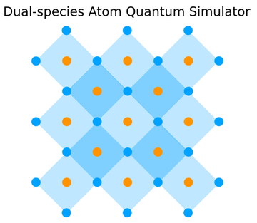 Dual-species Atom Quantum Simulator