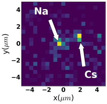 Na+Cs