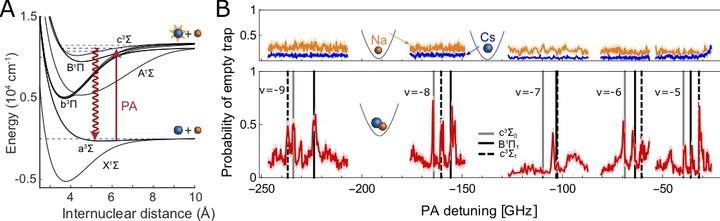 PA Spectrum